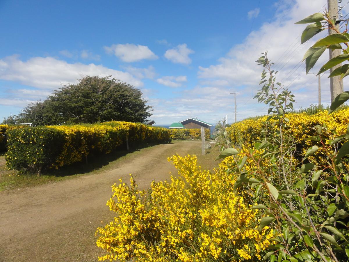 Cabanas Cerro Las Piedras 푼타아레나스 외부 사진