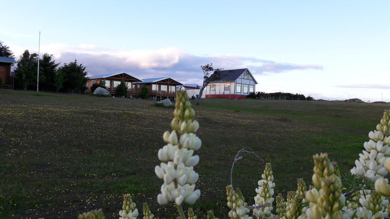 Cabanas Cerro Las Piedras 푼타아레나스 외부 사진